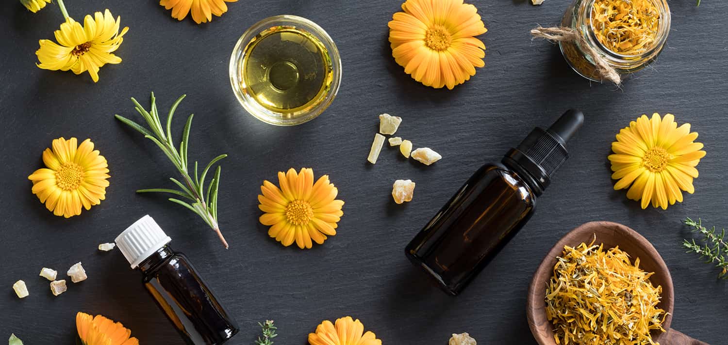 Les propriétés de l'huile essentielle de calendula sont multiples et très bénéfiques pour la santé.