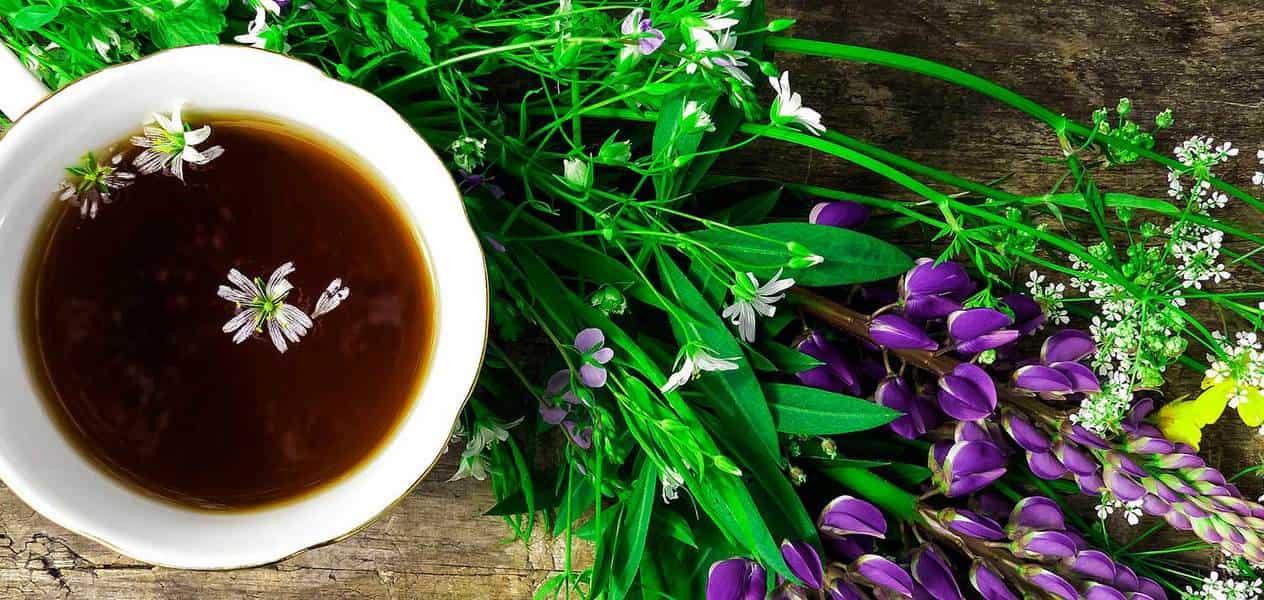 Voici les propriétés du thé noir bénéfiques pour votre santé